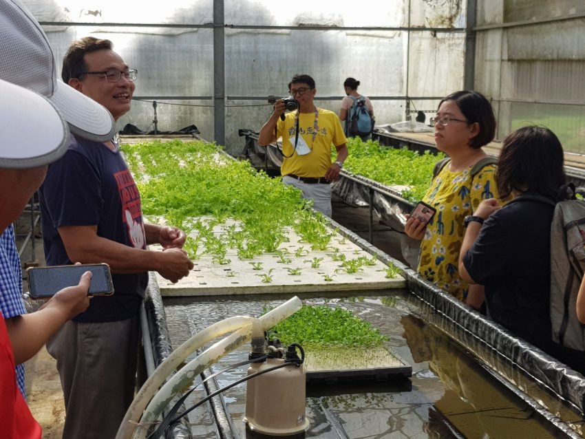 綠谷生菜沙拉3-來源：新竹市政府-新竹小塹有約