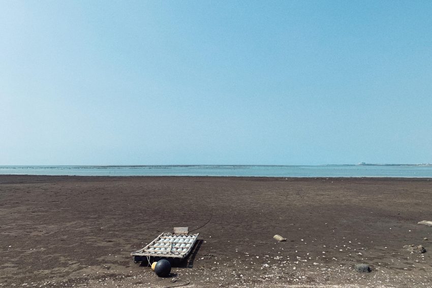 香山溼地3 (來源：新竹市政府-新竹小塹有約)