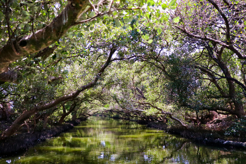 【避暑景點推薦】全台避暑勝地、夏日避暑親子景點一日遊,跟著玩準沒錯! 【避暑景點推薦】全台避暑勝地、夏日避暑親子景點一日遊,跟著玩準沒錯!