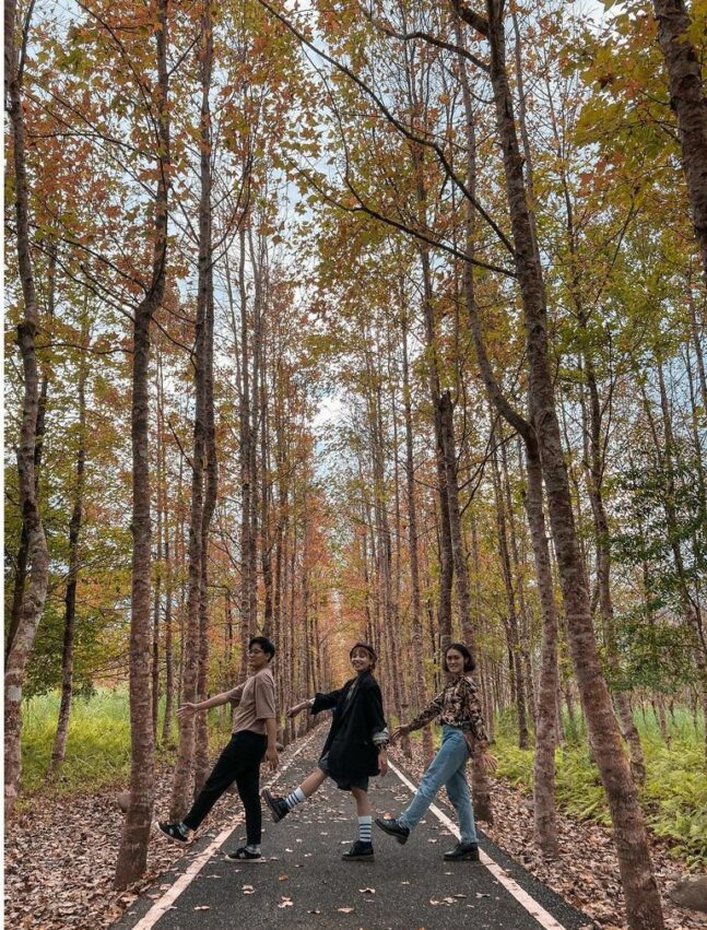 大農大富平地森林園區|園區簡介、地圖|大農大富的起源是台糖用來種植甘蔗的大農及大富二個農場,園區佔地1250公頃,相當於48座台北大安森林公園,早期這裡的土地較為貧瘠,因此在規劃初期,但是有計劃的朝「在地文化、生態、樂活、遊憩、節能」等方向做園區設計。