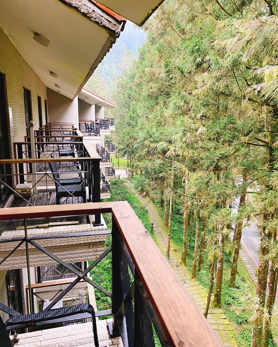 馬告生態園區 【2026力麗馬告生態園區】宜蘭馬告生態園區一日遊、明池棲蘭山莊交通與住宿懶人包 7 2026