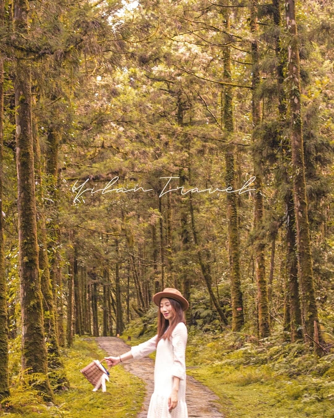 馬告生態園區 【2026力麗馬告生態園區】宜蘭馬告生態園區一日遊、明池棲蘭山莊交通與住宿懶人包 9 2026