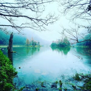 【力麗馬告生態園區】宜蘭馬告生態園區一日遊、明池棲蘭山莊交通與住宿懶人包