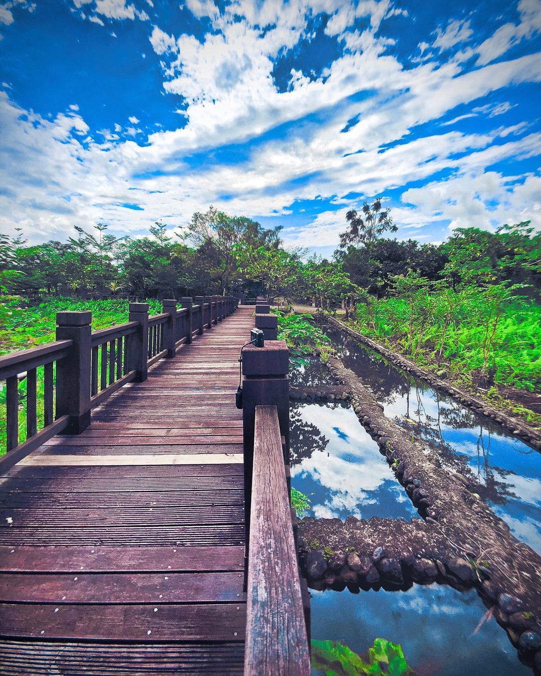 大農大富平地森林園區 大農大富平地森林園區|附近景點|馬太鞍休閒農業區