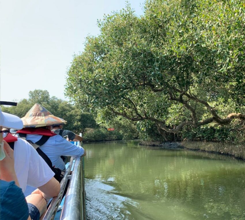 台南四草綠色隧道｜台版亞馬遜河、四草優惠門票、預約船班、交通方式一次看