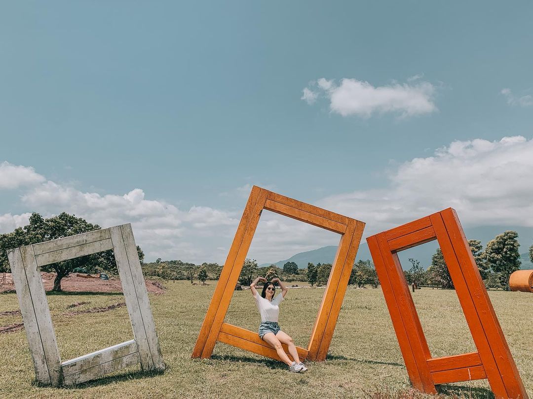 大農大富平地森林園區|4大必拍特色|創意必拍地景藝術 2011年大農大富舉辦了Masadi國際裝置藝術節,一群來自國外的藝術家,將一批八八風災留下的漂流木,轉變成了創意十足的地景裝置藝術。
