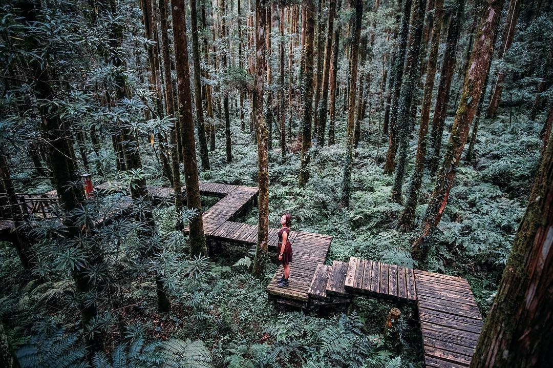 力麗馬告生態園區 力麗馬告生態園區