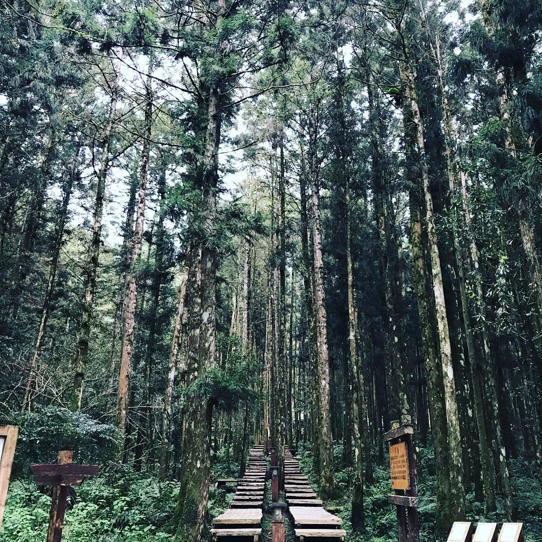 馬告生態園區 【2026力麗馬告生態園區】宜蘭馬告生態園區一日遊、明池棲蘭山莊交通與住宿懶人包 3 2026