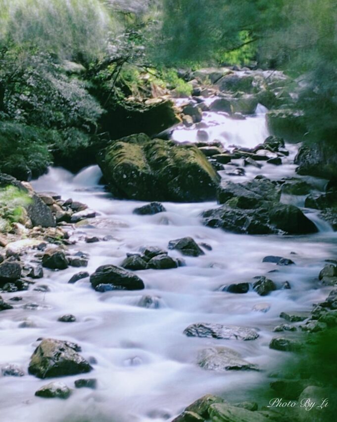 滿月圓森林遊樂區新北景點推薦【滿月圓國家森林遊樂區】新北三峽滿月圓絕美雙瀑布,親子生態森林步道 新北景點推薦【滿月圓國家森林遊樂區】新北三峽滿月圓絕美雙瀑布,親子生態森林步道