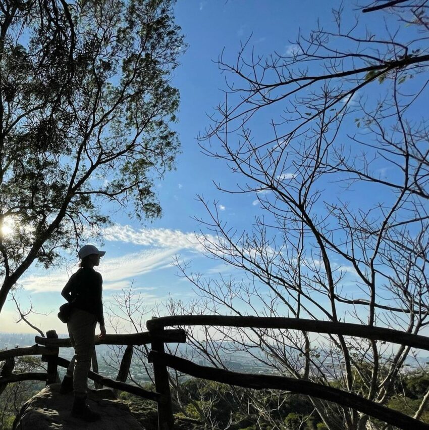 台中捷運景點｜捷運綠線這樣玩！中捷路線、票價整理、沿線景點攻略