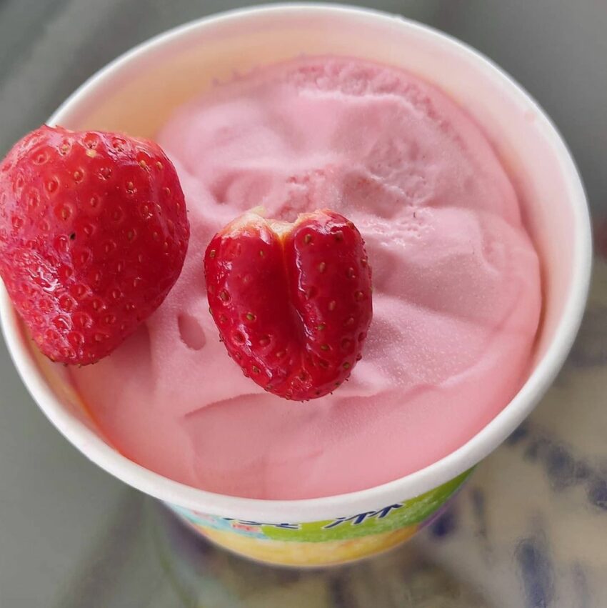 冬季節限定，苗栗大湖草莓季開跑！苗栗草莓攻略【好評草莓園/採收時間/草莓價格/】