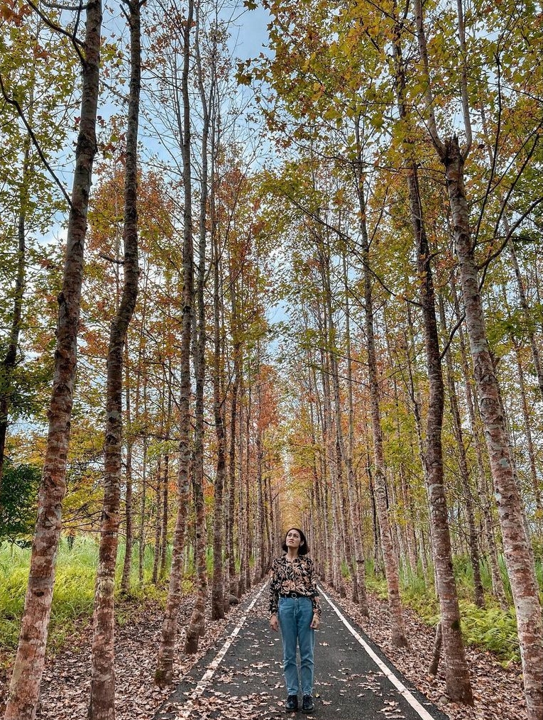 圖片授權:IG <a href="https://www.instagram.com/p/CIC-EcxAeMu/?hl=zh-tw" class="sqdOP yWX7d _8A5w5 ZIAjV ">@ pan7_____0719 </a> 大農大富平地森林園區