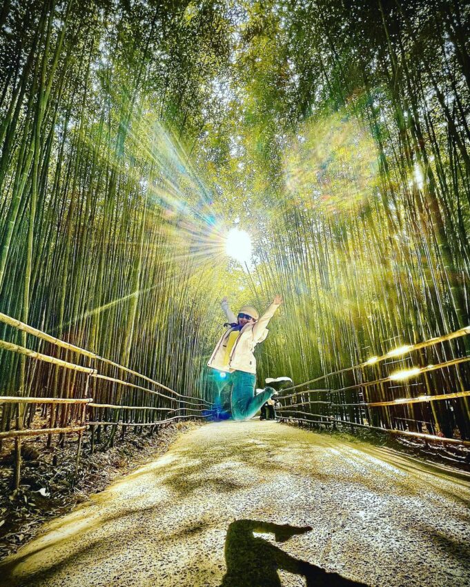 冬季節限定，苗栗大湖草莓季開跑！苗栗草莓攻略【好評草莓園/採收時間/草莓價格/】】