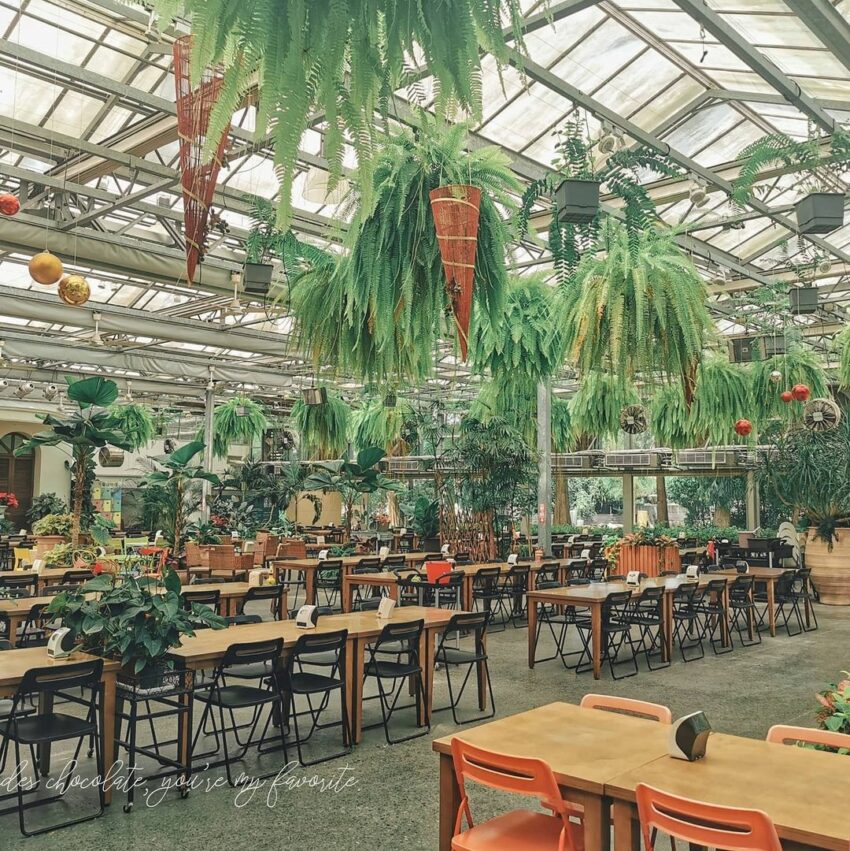 菁芳園｜浪漫落羽松、湖畔玻璃屋花園景觀餐廳，超夯彰化田尾景點