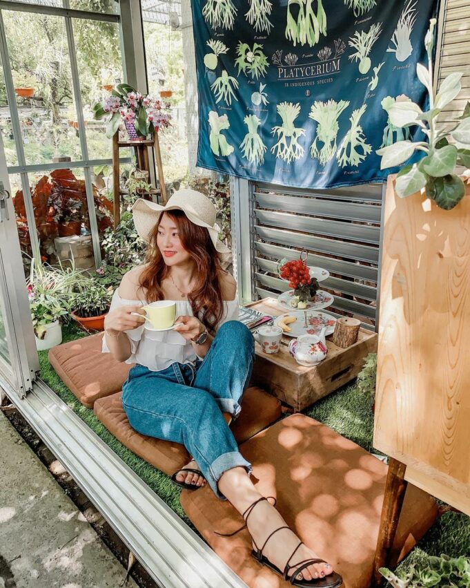 菁芳園｜浪漫落羽松、湖畔玻璃屋花園景觀餐廳，超夯彰化田尾景點