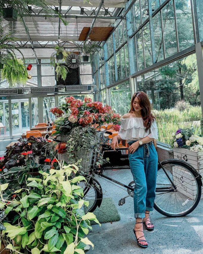 菁芳園｜浪漫落羽松、湖畔玻璃屋花園景觀餐廳，超夯彰化田尾景點