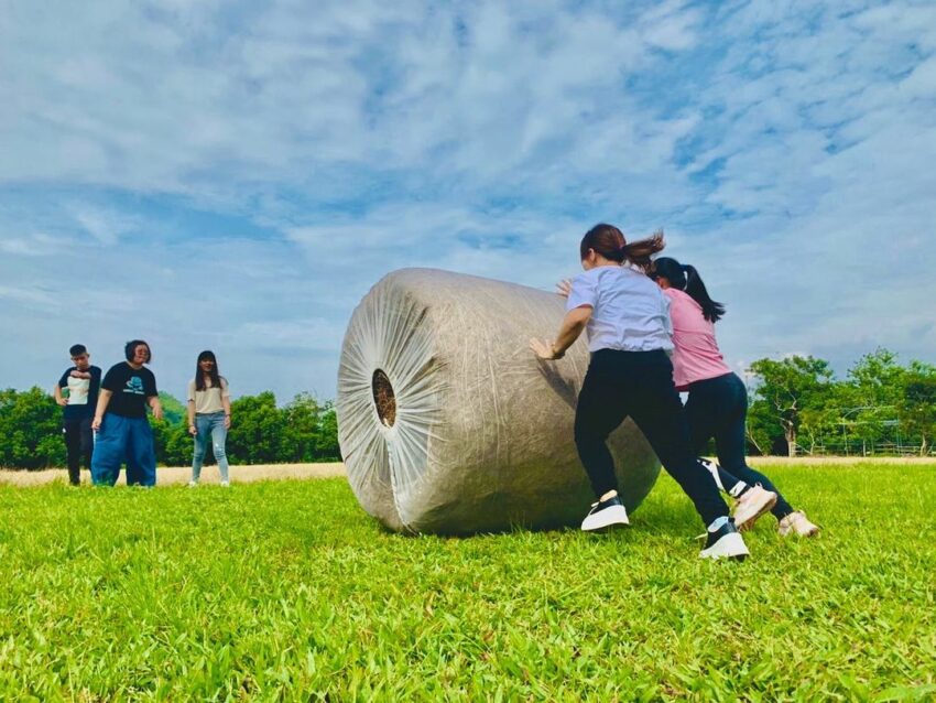 走馬瀨農場 推草 走馬瀨農場 推草