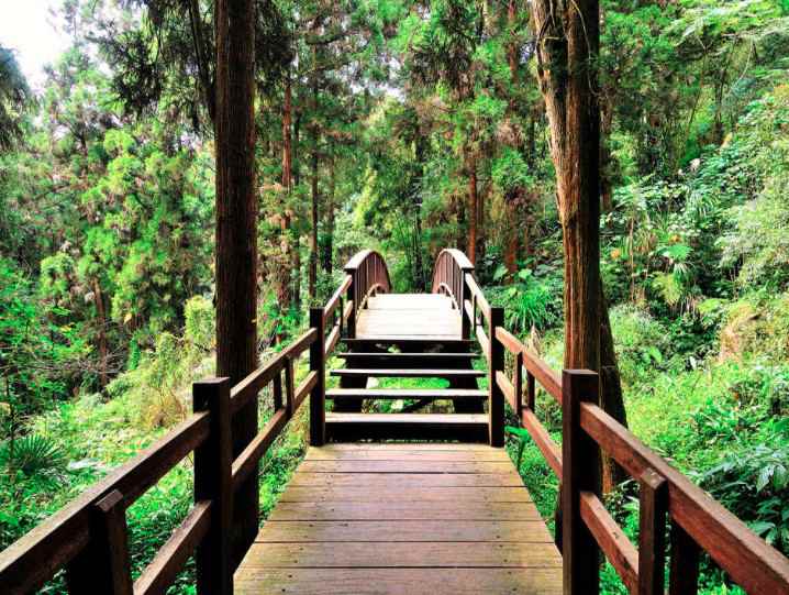 奮起湖北側走道