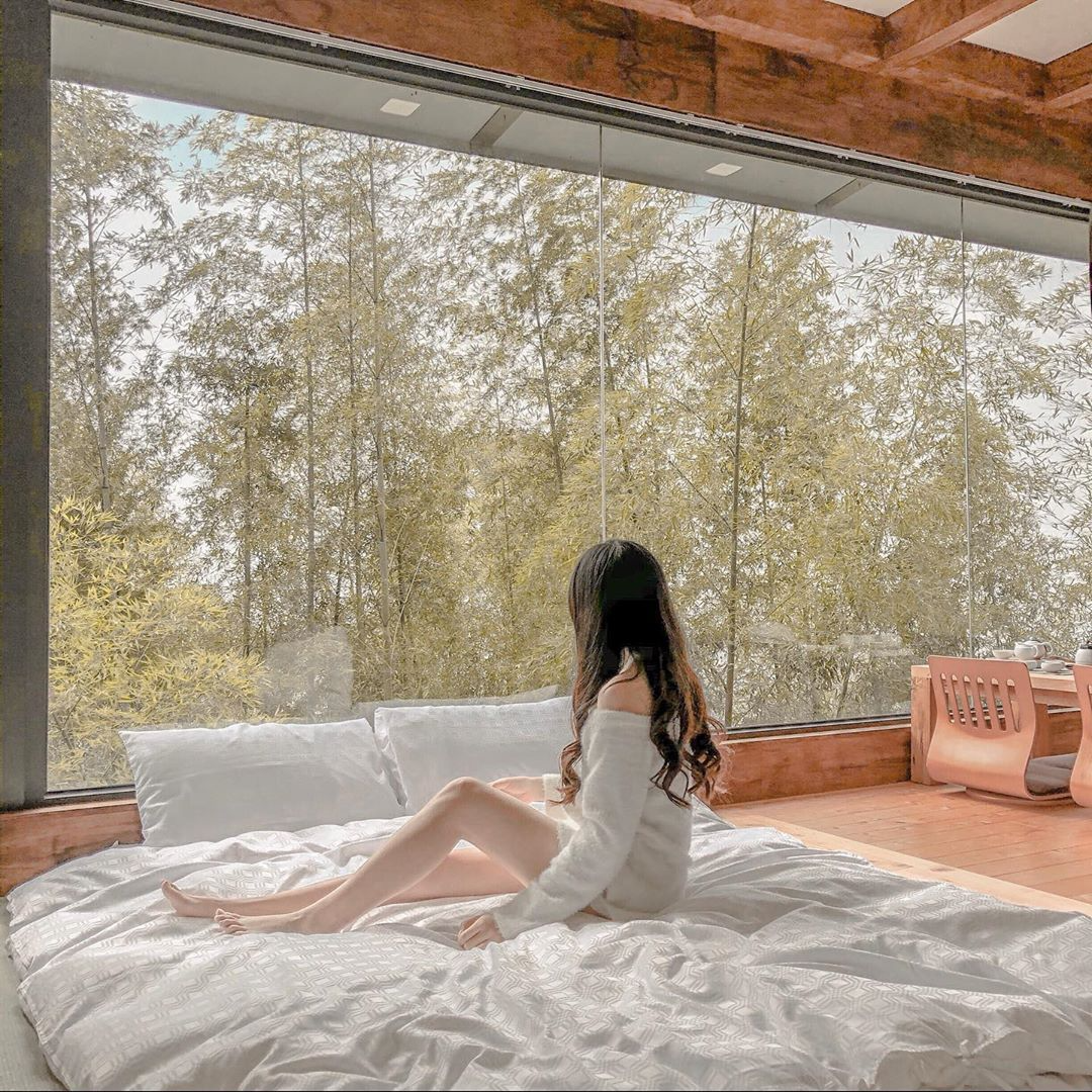 【阿里山民宿】推薦超美山居民宿、星空玻璃屋不藏私~阿里山周邊民宿看這篇! 【阿里山民宿】推薦超美山居民宿、星空玻璃屋不藏私~阿里山周邊民宿看這篇!