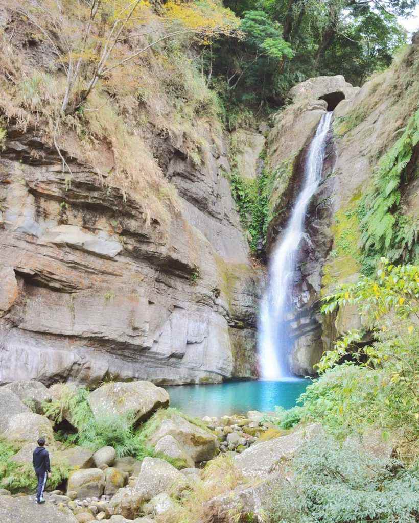 嘉義瑞里景點推薦｜紫色山城怎麼玩？台灣好行瑞里線必去景點大公開！