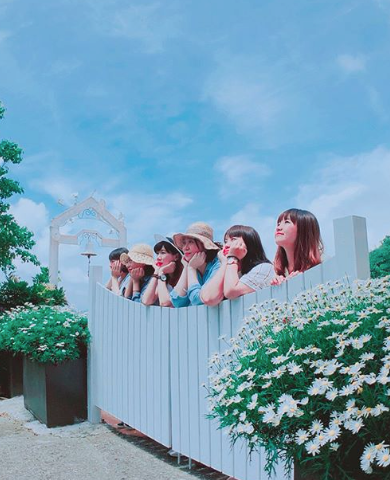 阿里山二日遊 阿里山二日遊 | 台灣好行阿里山線 x 交通搭乘攻略 x 小資精省輕旅行篇 3 2026