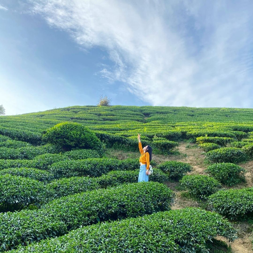 嘉義景點｜漫步太平雲梯，太平老街美食吃透透！