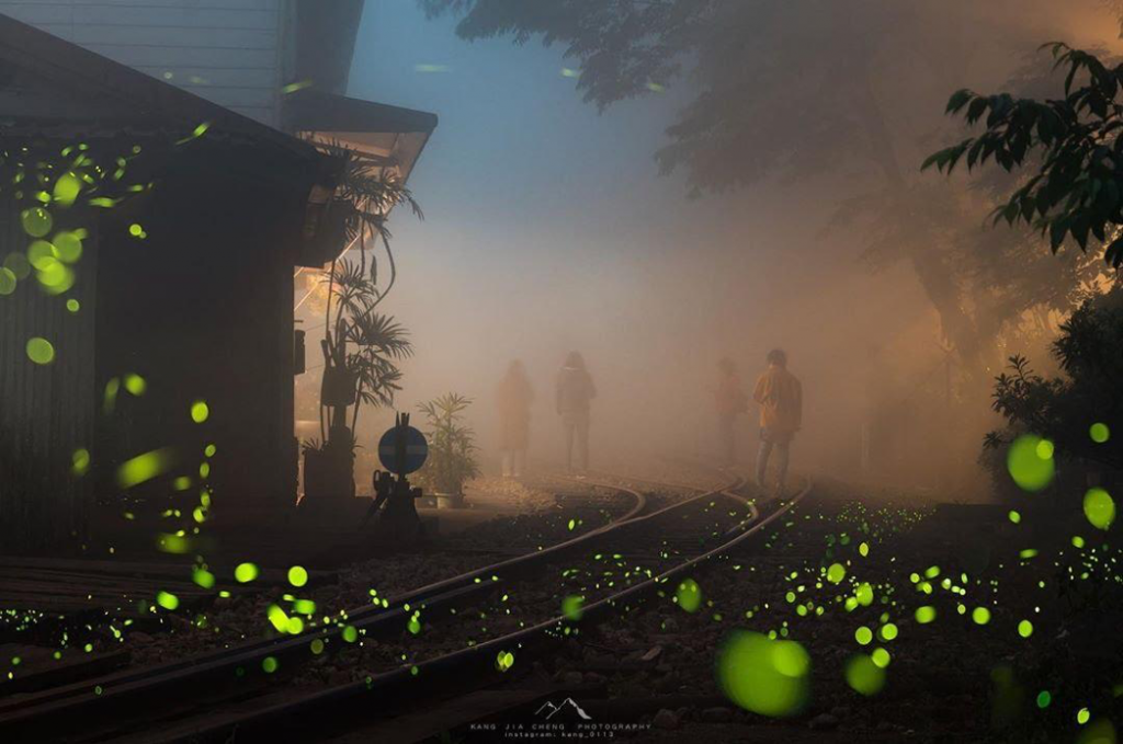 搭阿里山小火車一日遊怎麼玩？阿里山火車訂票教學、車票價格、10大必訪景點路線一次看！