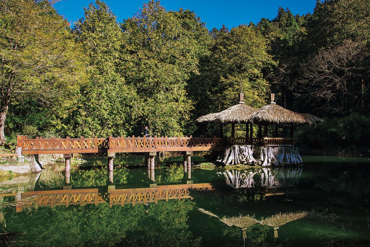 阿里山山居 阿里山森林遊樂區