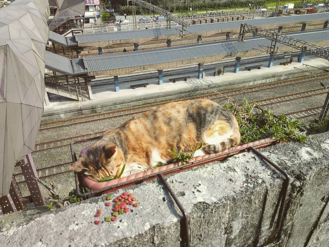 ,平溪線景點,平溪線景點,平溪一日遊,平溪,十分瀑布,平溪老街,十分老街,平溪線,平溪放天燈,平溪景點,平溪老街美食,十分瀑布交通,十分老街美食,十分天燈,平溪線一日遊,天燈平溪,平溪線一日遊規劃,平溪怎麼去,平溪交通,平溪天燈時間,平溪瀑布,平溪放天燈時間,平溪支線,十分瀑布一日遊,平溪平日可以放天燈嗎,平溪老街怎麼去,十分瀑布附近景點,平溪老街vs十分老街,平溪放天燈時間2022,十分老街必吃,平溪老街一日遊,平溪平常可以放天燈嗎2022,十分瀑布怎麼去,平溪一日遊開車,平溪天燈價錢,平溪天燈時間2022,十分景點,十分放天燈,平溪老街停車,平溪螢火蟲,平溪放天燈時間2023,平溪老街附近景點,平溪老街停車場,平溪十分瀑布,平溪放天燈價錢,平溪天燈怎麼去,平溪煤礦博物館,平溪老街怎麼去火車,平溪天燈一日遊,平溪天燈節2022,平溪一日券划算嗎,平溪十分,2022平溪天燈節,平溪天燈時間2023,平溪附近,平溪附近,猴硐貓村 猴硐 猴硐老街 猴硐貓村 猴硐美食 猴硐車站 平溪線火車 平溪支線 猴硐好玩嗎 猴硐景點