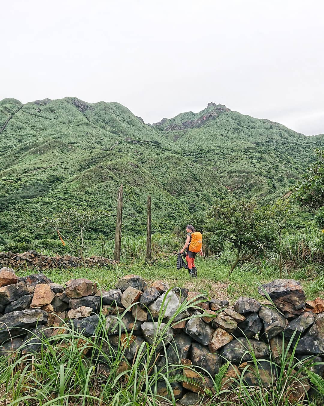 九份金瓜石一日遊 九份金瓜石一日遊 |5 大經典電影場景 【朝聖之旅】 12 2026