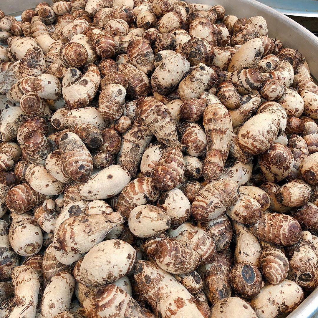 【金山老街】精選9大伴手禮&金山美食/小吃，大家快收入口袋名單中！