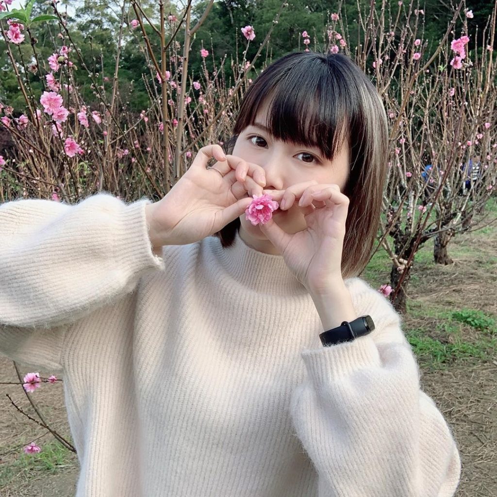 貓空纜車,纜車,貓纜,貓空私房景點2020 ,貓空 , 貓空杏花林,杏花林,打卡景點 貓空纜車,纜車,貓纜,貓空私房景點 ,貓空 , 貓空杏花林,杏花林,打卡景點