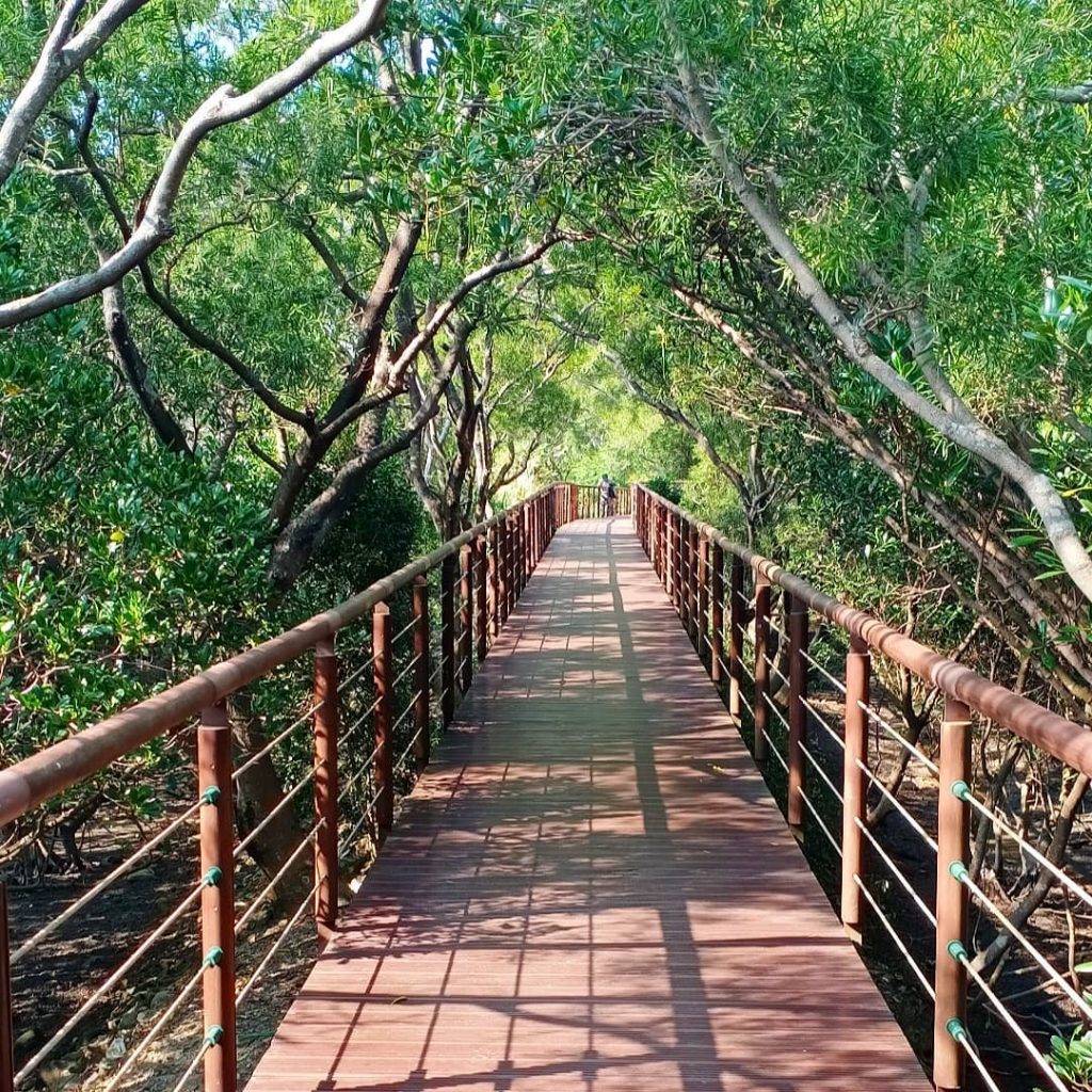 紅樹林生態步道,紅樹林站,淡水景點,淡水,淡水一日遊2020 紅樹林生態步道,紅樹林站,淡水景點,淡水,淡水一日遊2020