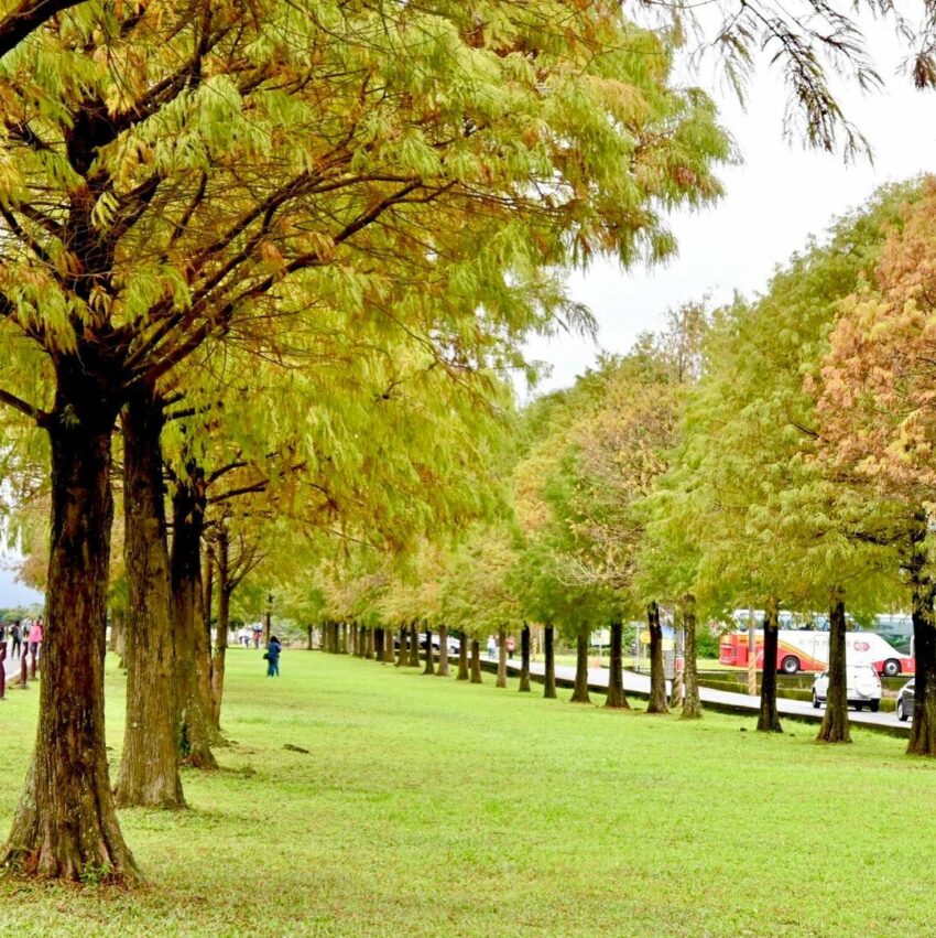 宜蘭親子景點【張美阿嬤農場一日遊】穿浴衣拍美照、餵鹿、田園DIY體驗！