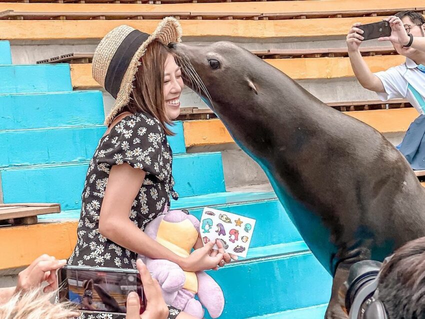 【新北景點推薦】新北一日遊好玩景點！最新新北旅遊景點地圖全攻略