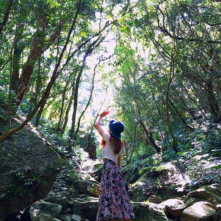 三峽老街|一日遊路線玩透三峽景點!精選必去秘境、美食、伴手禮 三峽老街|一日遊路線玩透三峽景點!精選必去秘境、美食、伴手禮
