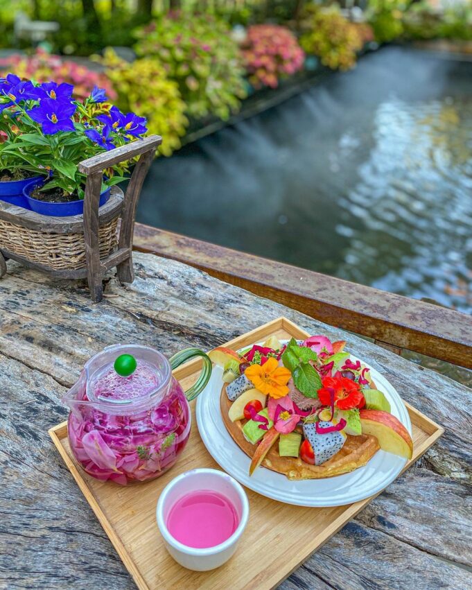 苗栗卓蘭【花露農場 】全台首座精油博物館，沉浸在四季繽紛花海享受午茶時光