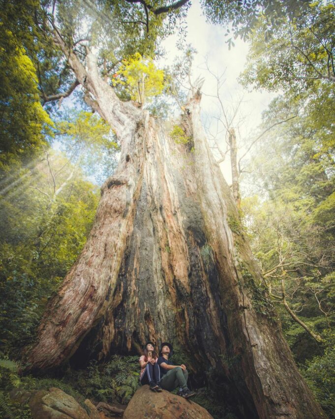 【新竹景點推薦】精選60個新竹一日遊景點，多條新竹旅遊路線，跟著我們玩遍新竹！