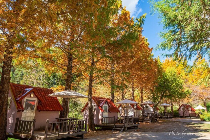 武陵農場露營區, 武陵露營