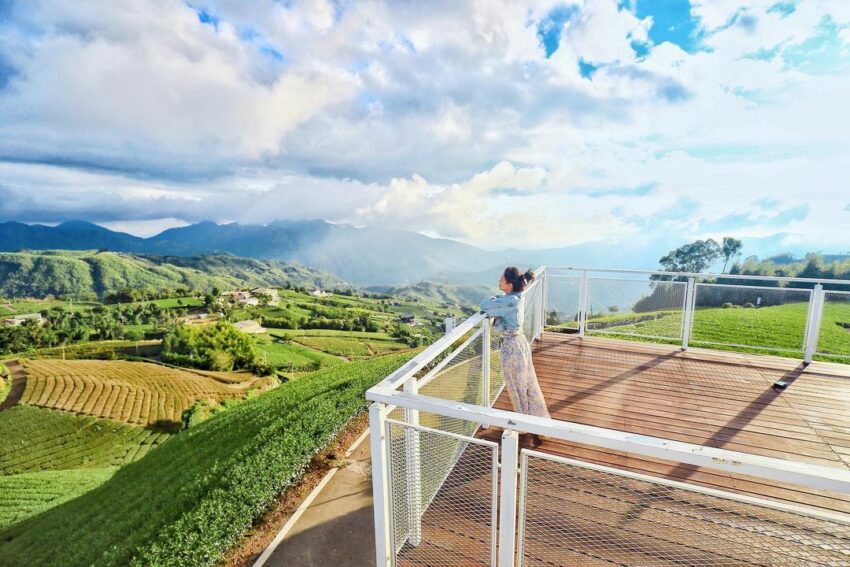 阿里山日出｜6大阿里山賞日出好地點、日出時間、交通行程攻略