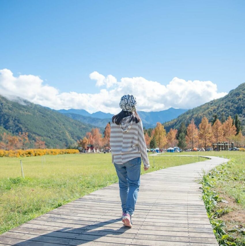 【武陵農場露營】武陵露營區介紹、住宿種類、預訂資訊攻略