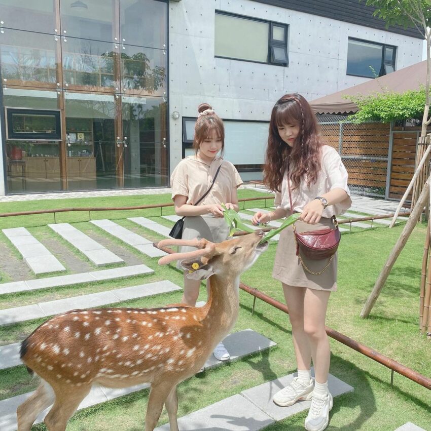宜蘭親子景點【張美阿嬤農場一日遊】穿浴衣拍美照、餵鹿、田園DIY體驗！