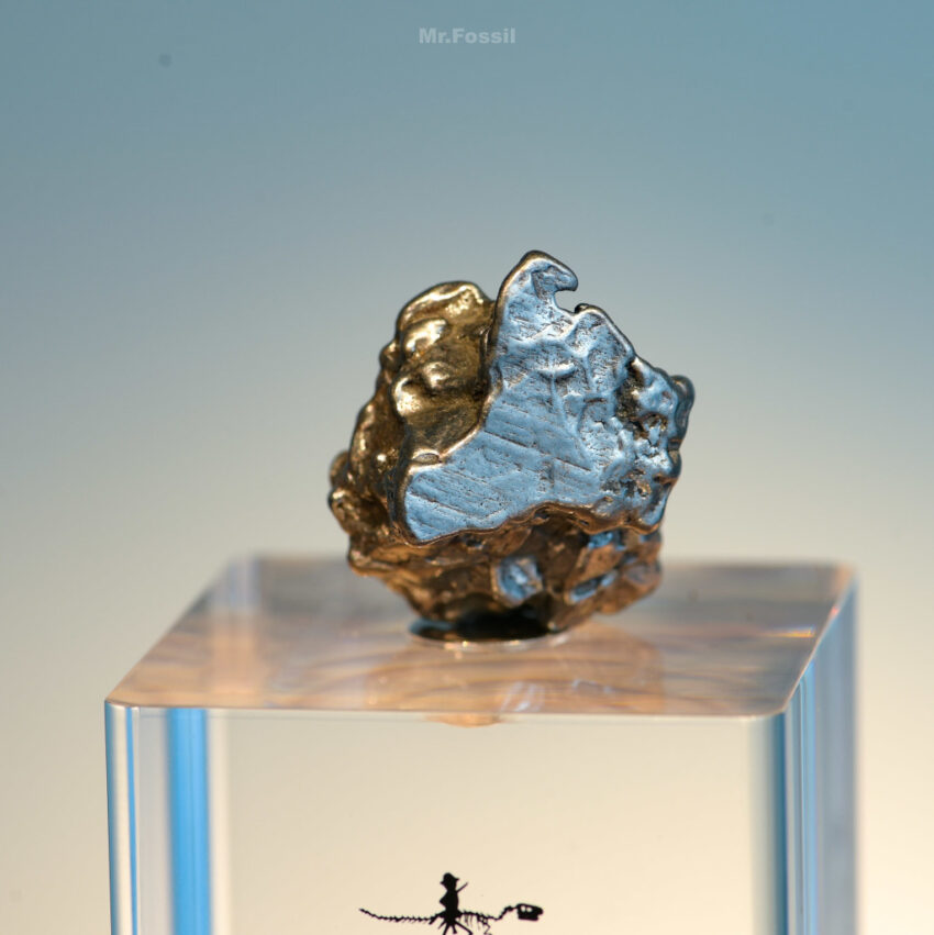 化石先生 化石先生 Mr. Fossil｜恐龍、化石與隕石帶你進入科普世界，一起更愛地球 10 2026