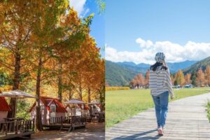 【武陵農場露營】武陵露營區介紹、露營種類、預訂資訊攻略