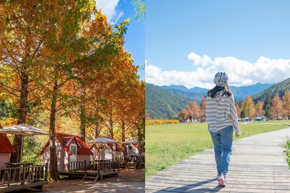 【武陵農場露營】武陵露營區介紹、露營種類、預訂資訊攻略