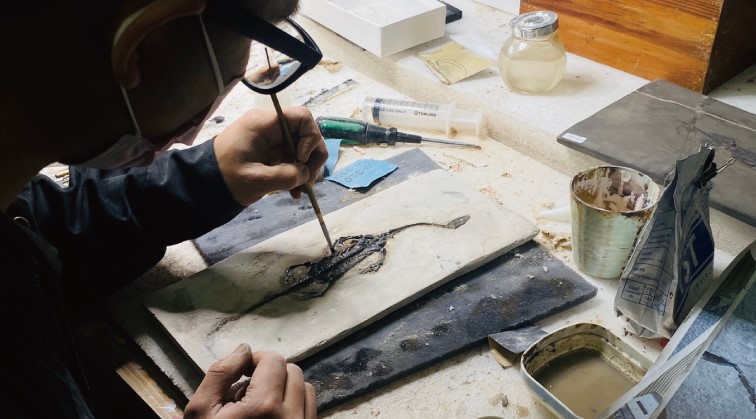 化石先生 化石先生 Mr. Fossil｜恐龍、化石與隕石帶你進入科普世界，一起更愛地球 6 2026