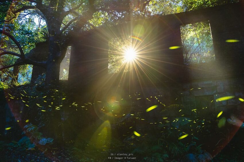 三峽老街|一日遊路線玩透三峽景點!精選必去秘境、美食、伴手禮 三峽老街|一日遊路線玩透三峽景點!精選必去秘境、美食、伴手禮