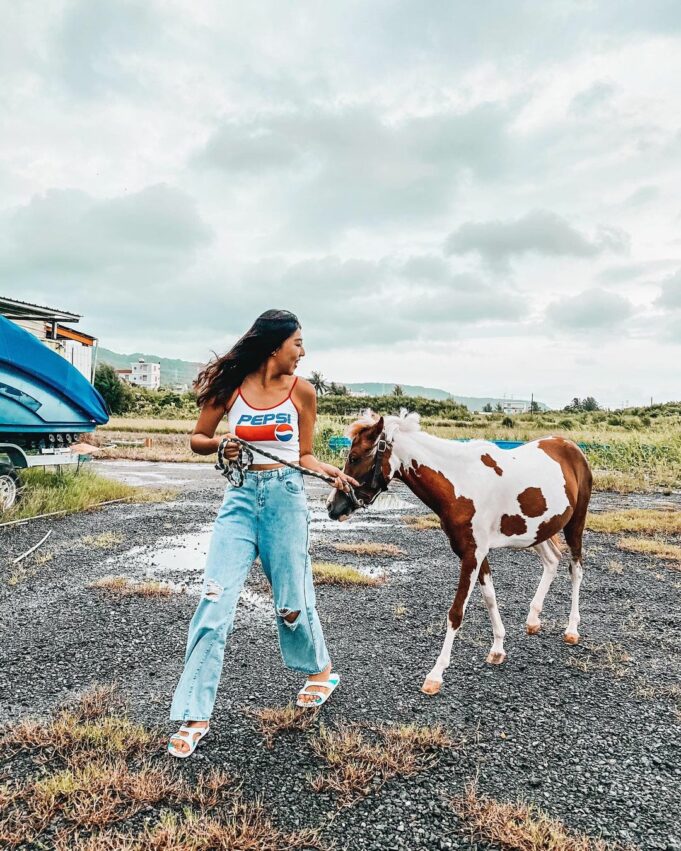 屏東景點 屏東景點一日遊 墾草趣親子園區