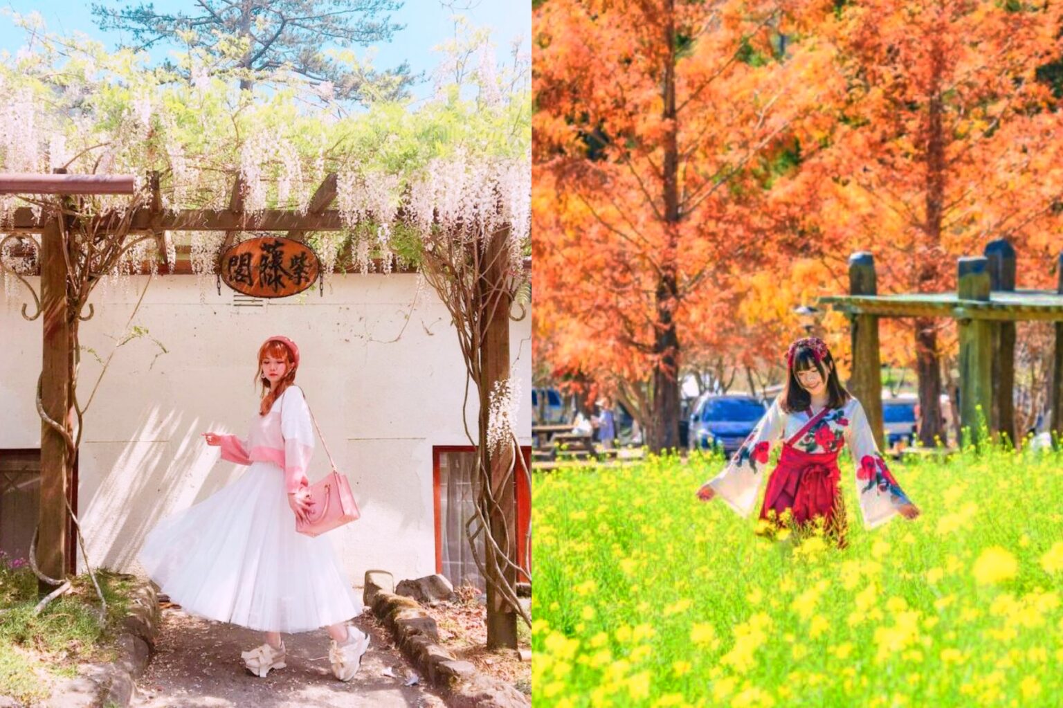 武陵花季｜四季花期、賞花地點、訂房資訊、交通攻略