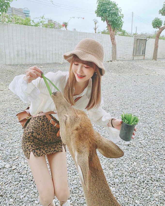 【南部親子景點】推薦15個嘉義/台南/高雄/屏東必去親子景點、門票、交通懶人包